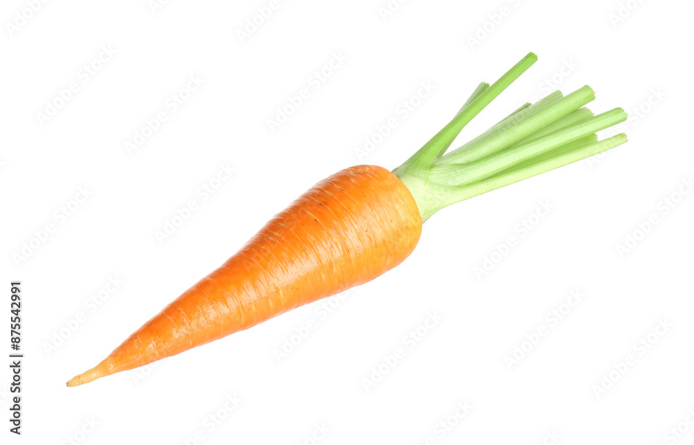 One fresh ripe carrot isolated on white One fresh ripe carrot isolated on white