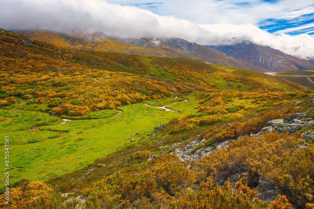 Colorful landscape