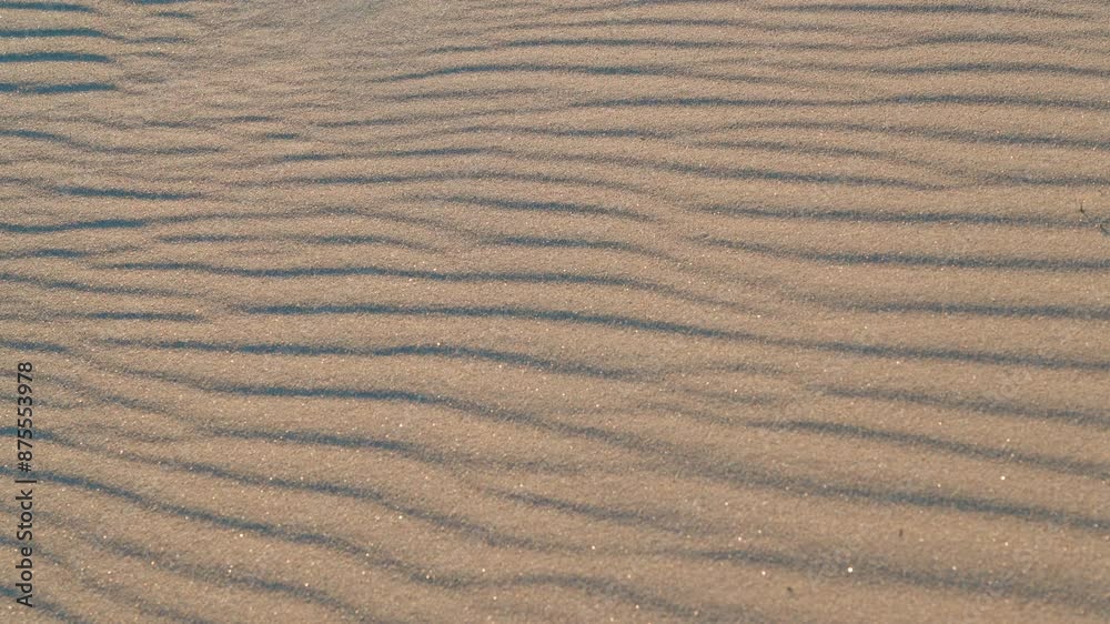 The video showcases the rippling sand patterns on Yyteri Beach, a coastal destination in the Gulf of Bothnia region of Finland. The sand is a light beige color, and the ripples are caused by the wind The video showcases the rippling sand patterns on Yyteri Beach, a coastal destination in the Gulf of Bothnia region of Finland. The sand is a light beige color, and the ripples are caused by the wind