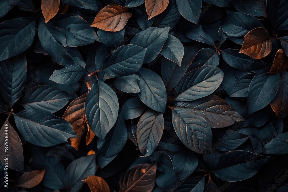 A close up of leaves with a blue background. The leaves are brown and green. The image has a calming and peaceful mood A close up of leaves with a blue background. The leaves are brown and green. The image has a calming and peaceful mood