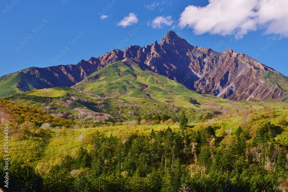 Obraz premium 青空に映える利尻富士