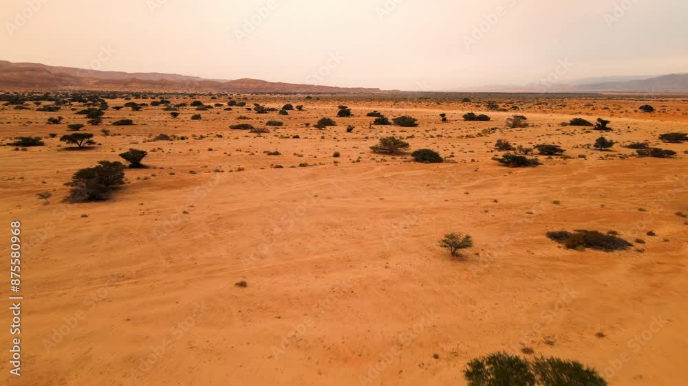 Aerial: Drone Forward Shot Of Semi Arid Yotvata Hai-Bar Nature Reserve Against Clear Sky Aerial: Drone Forward Shot Of Semi Arid Yotvata Hai-Bar Nature Reserve Against Clear Sky