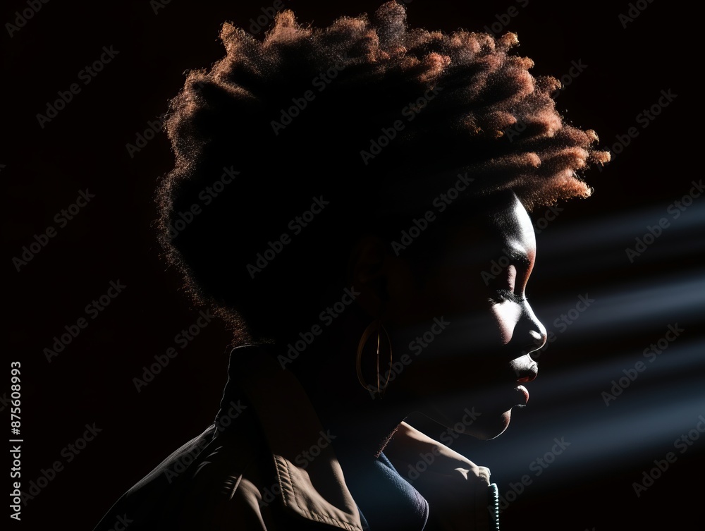 a woman with an afro is silhouetted against a dark background a woman with an afro is silhouetted against a dark background