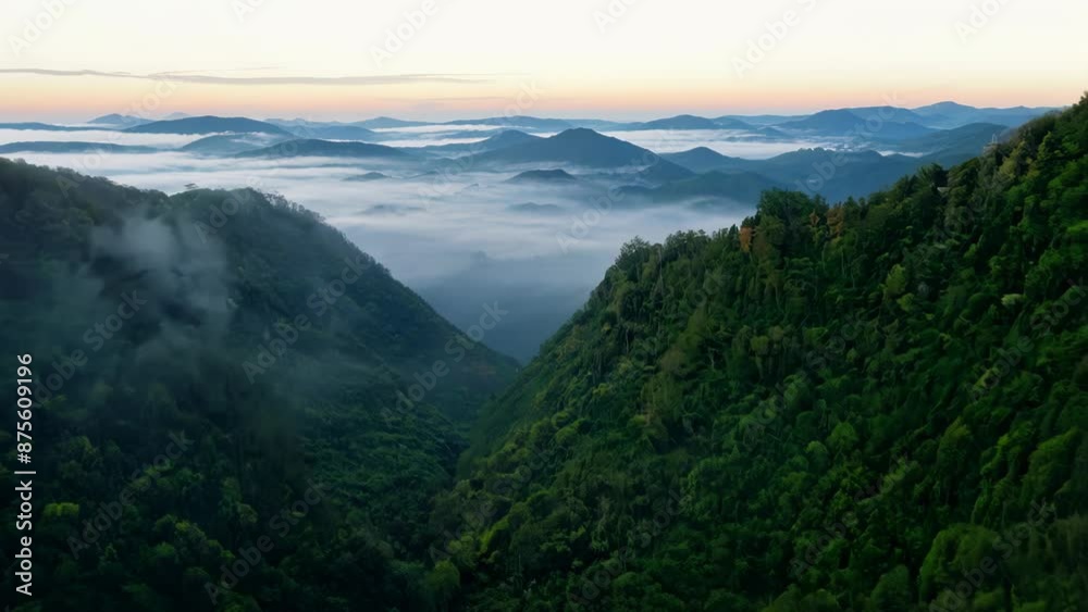 Lush green mountain slopes frame misty valley. Distant peaks softened by fog. Fading light bathes scene in serene dusk atmosphere. Dramatic V-shape terrain showcases wilderness grandeur. Lush green mountain slopes frame misty valley. Distant peaks softened by fog. Fading light bathes scene in serene dusk atmosphere. Dramatic V-shape terrain showcases wilderness grandeur.