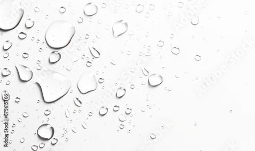 macro shot of water droplets isolated on transparent background
