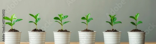 Six young green plants growing in white pots arranged in a row on a wooden table, symbolizing growth and nature indoors.