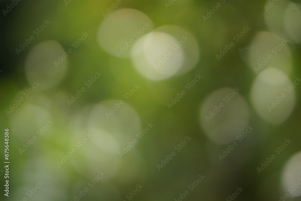 blur bokeh abstract green black blur bokeh abstract green black