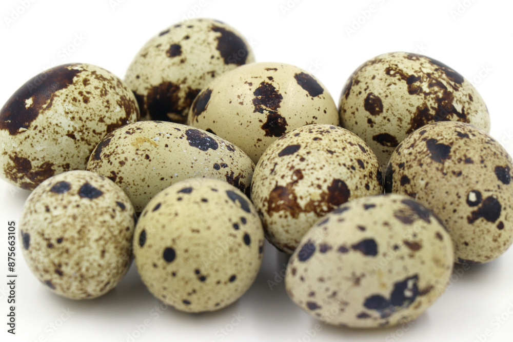 egg egg