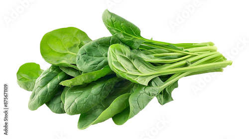 fresh spinach leaves on white background