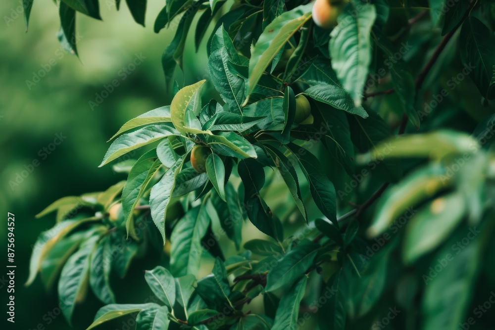 Fototapeta premium Close-Up of Lush Green Leaves on a Peach Tree