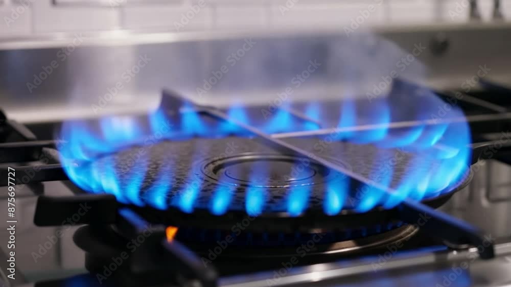 Kitchen gas cooker featuring a large flame of blue propane Kitchen gas cooker featuring a large flame of blue propane