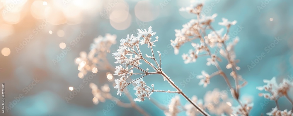 Serene Frost Patterns: Natural Abstract Wallpaper with Delicate Ice Formations on Windowpane Serene Frost Patterns: Natural Abstract Wallpaper with Delicate Ice Formations on Windowpane