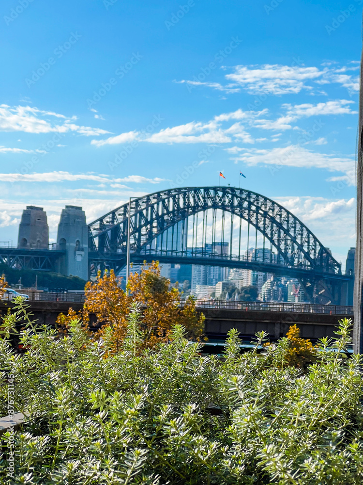 Fototapeta premium Sydney Harbour Bridge