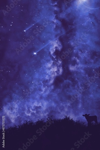 starry night sky