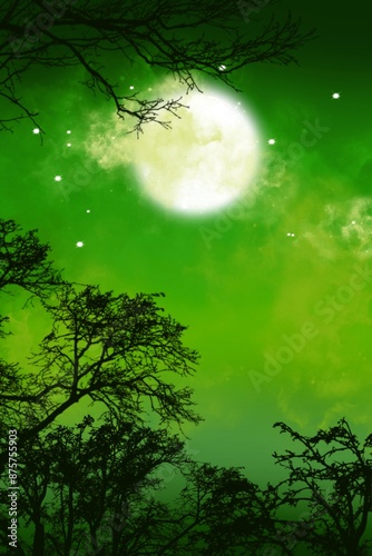 moon and tree