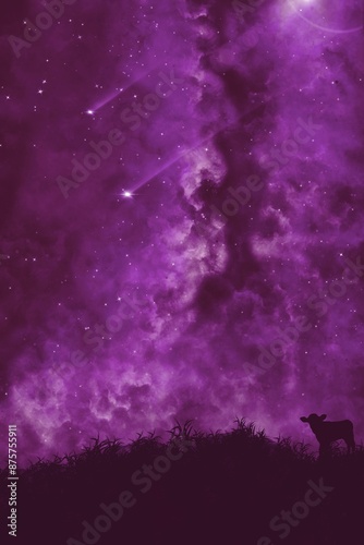 starry night sky