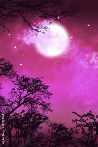 moon and tree