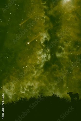 night sky and clouds