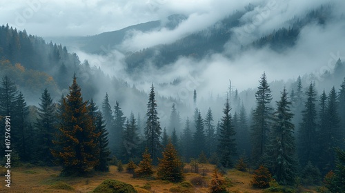 Misty peak scenery. Ukrainian Carpathians. photo