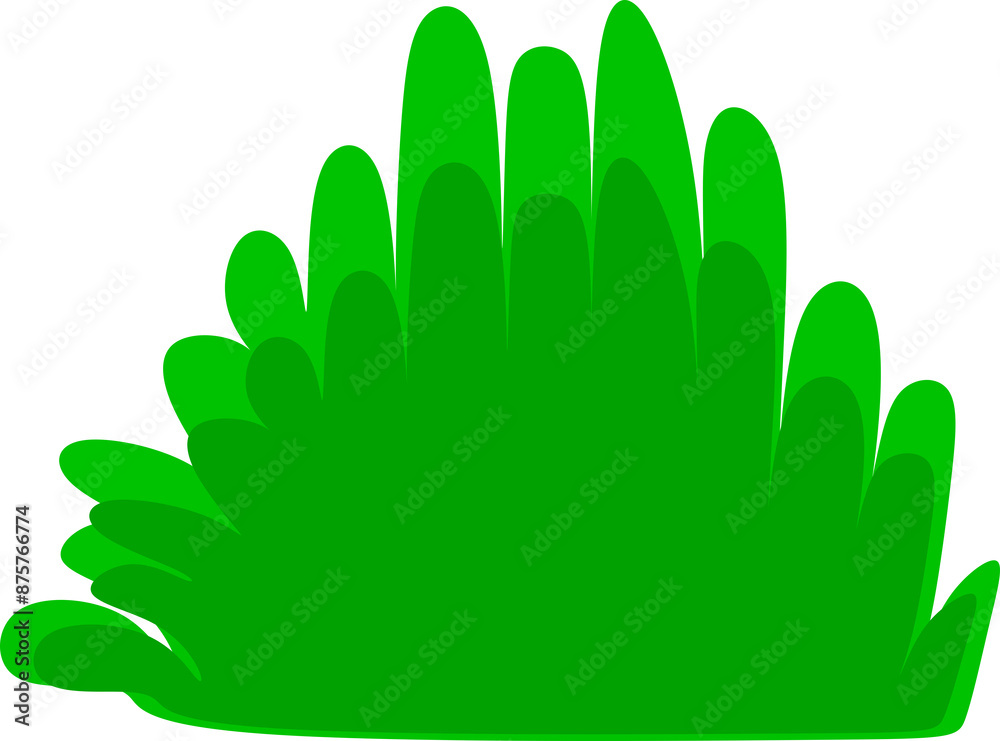 grass grass