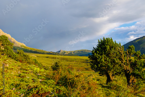 Beautiful forest and mountains at sunset, picturesque nature, travel to Turkey