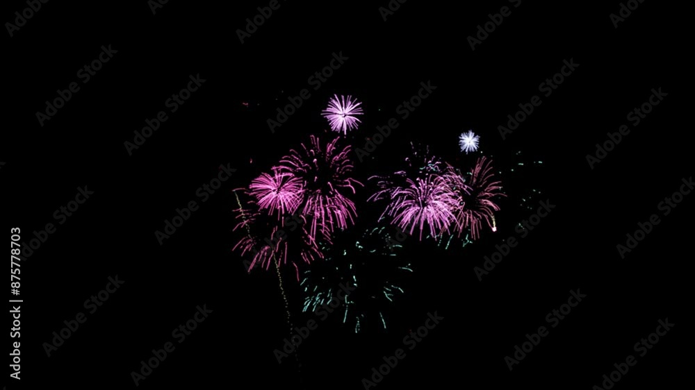 fireworks in the night sky