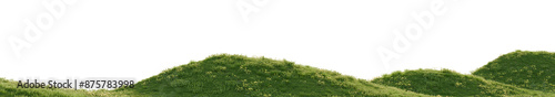 A green hill blooming with yellow and blue flowers in spring. 3D rendering.