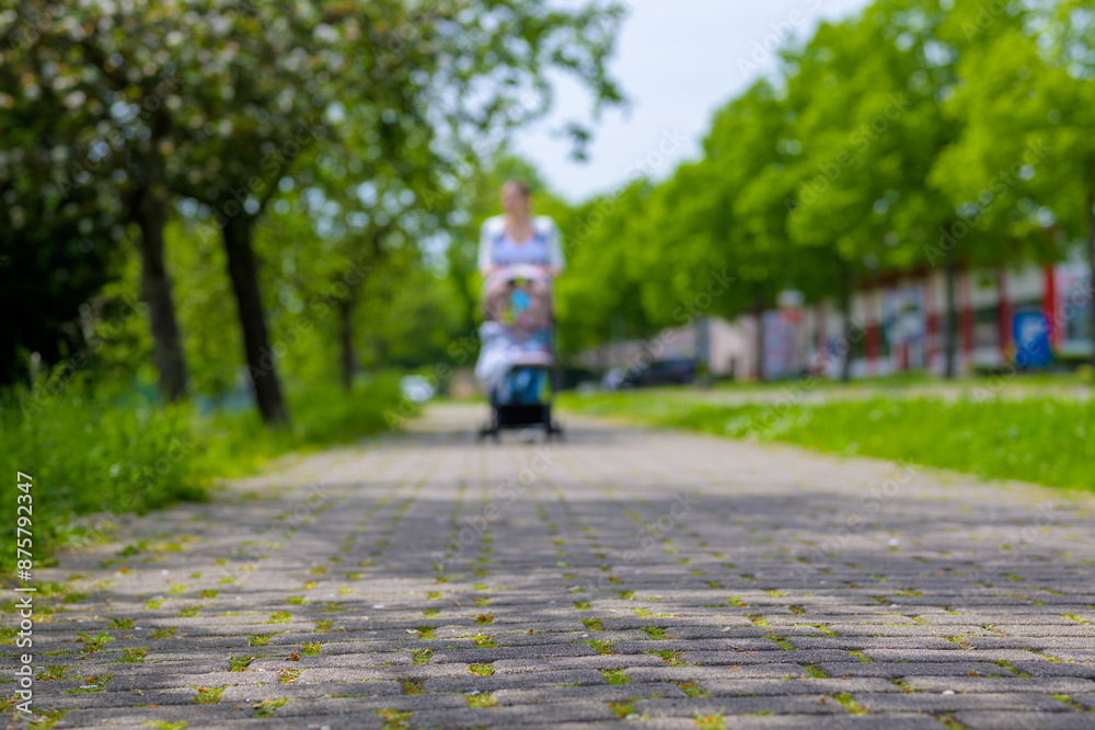 Fototapeta premium Blurred Mother with Stroller on a Pathway