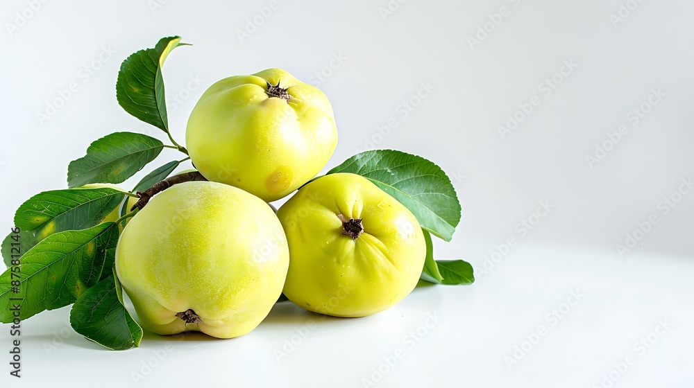 Vivid Green Quince: High Contrast Close-Up on White Background Vivid Green Quince: High Contrast Close-Up on White Background