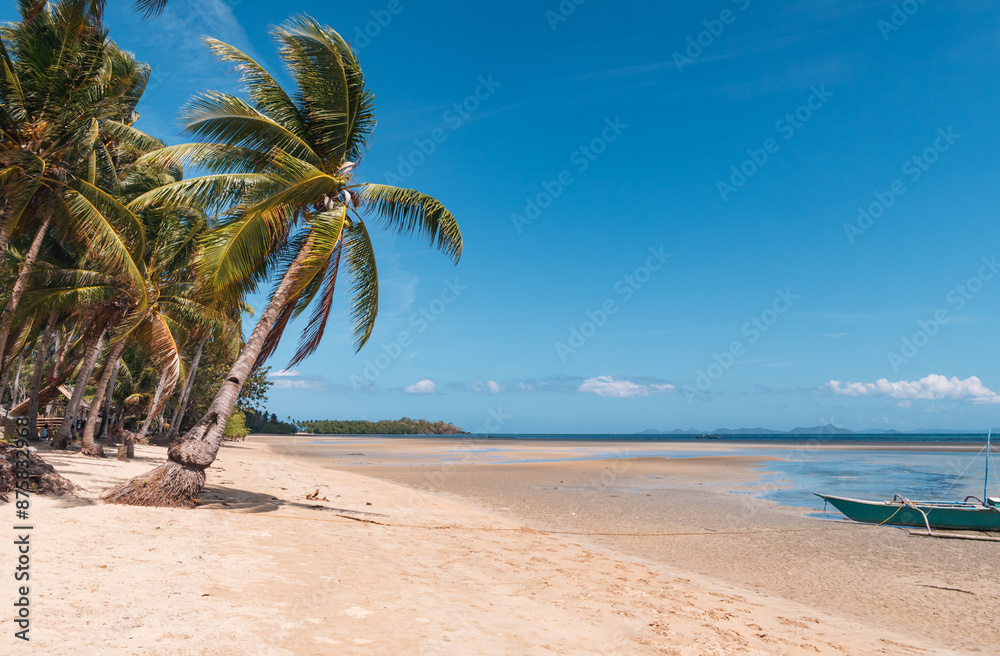 Obraz premium Tropical beach with white sand, coconut palm and turquoise water. Palawan, Philippines.