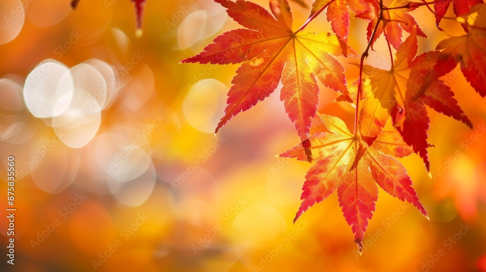 Autumn Theme Web Banner with Red and Yellow Leaves and Bokeh Effect