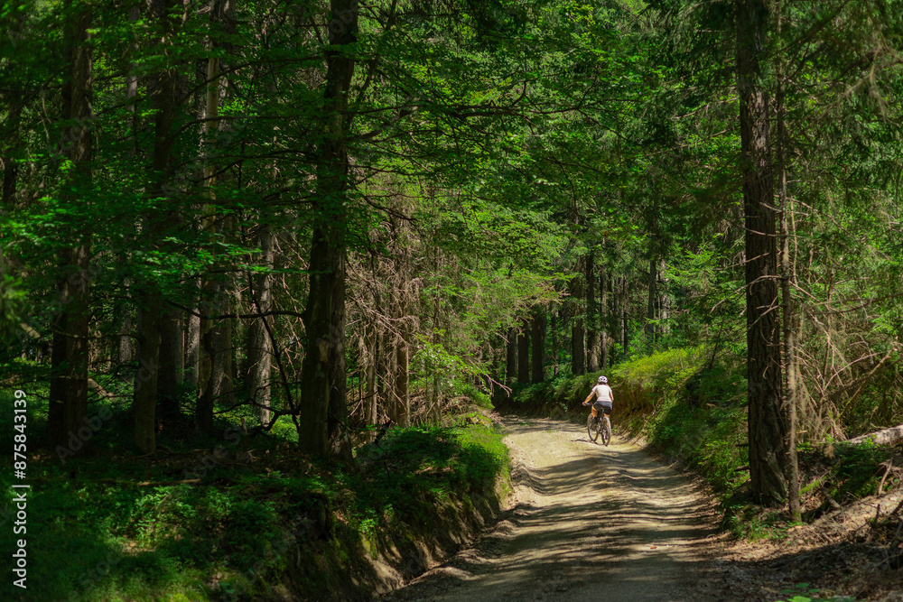 Back view of an unknown woman riding a mountain bike away from the camera in a beautiful forest setting. Green lush forest, sun and female cyclist