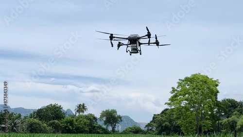 Agriculture drone fly to sprayed fertilizer on the sweet corn fields