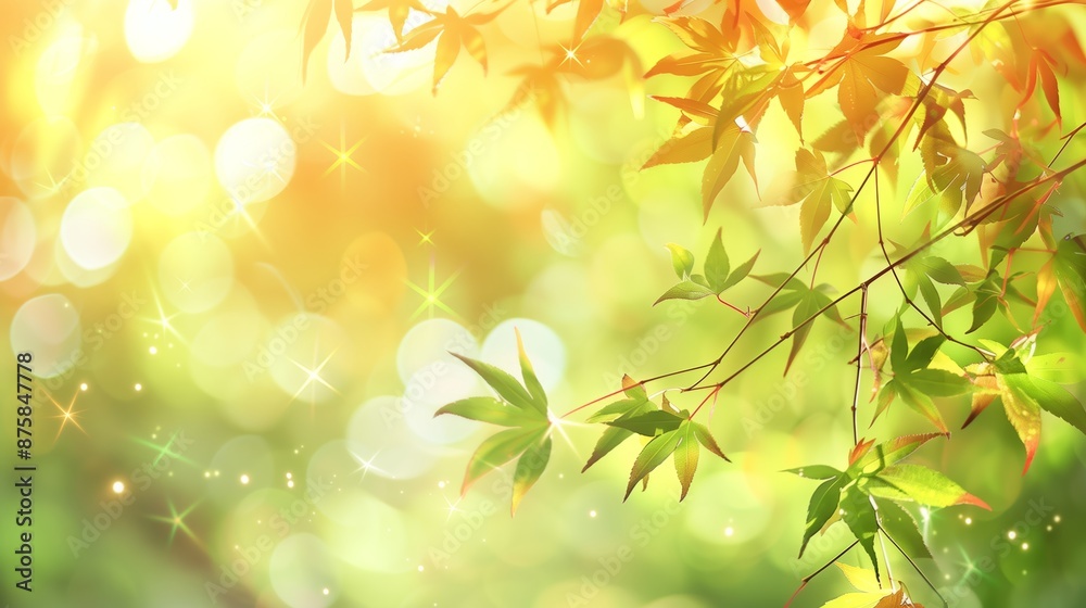Summer Theme Web Banner with Green Leaves and Bokeh Effect
