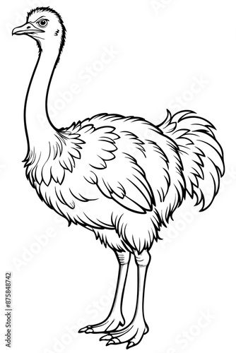 Solid black outline Silhouette  Ostrich clouring pages black Ostrich white vector Illustration: Adorable Feline Design photo