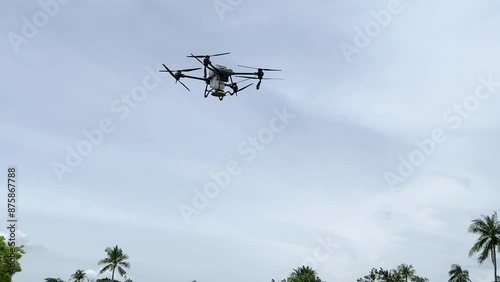 Agriculture drone fly to sprayed fertilizer on the sweet corn fields