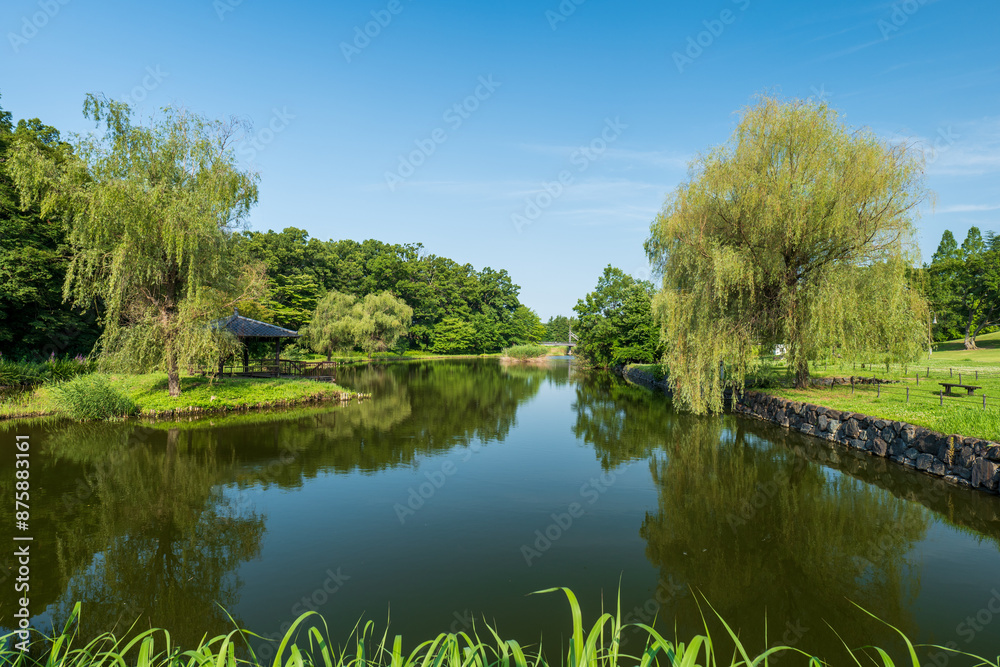 Obraz premium 初夏の古河公方公園の風景