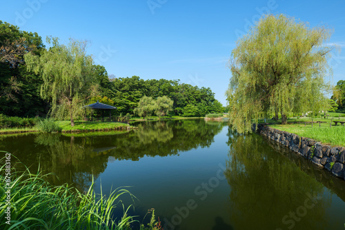 初夏の古河公方公園の風景