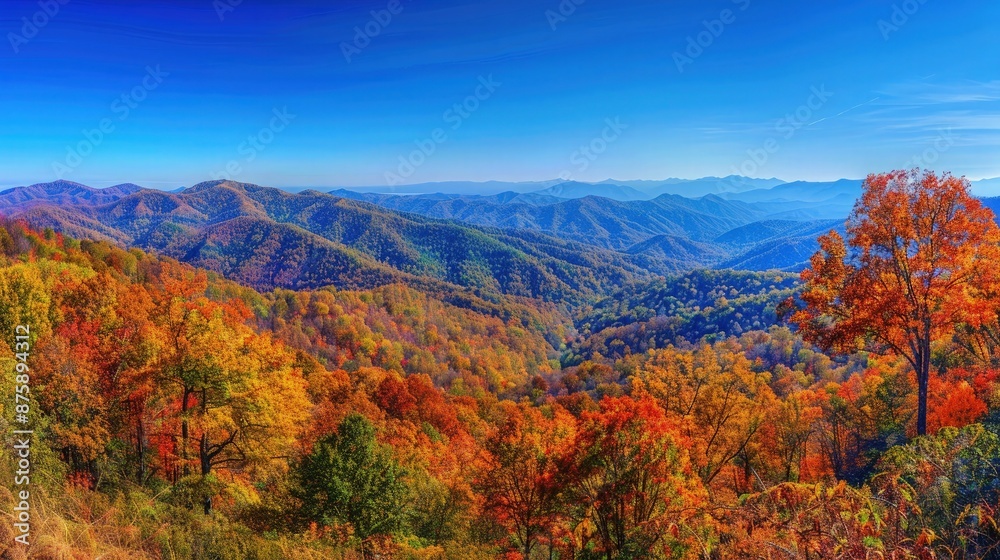 natural mountains scene with mountains covered with autumn trees and blue sky background natural mountains scene with mountains covered with autumn trees and blue sky background