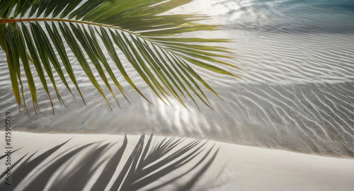palm leaf shadow on abstract white sand beach background, sun lights on water surface, beaut. Generative AI. © hanifa