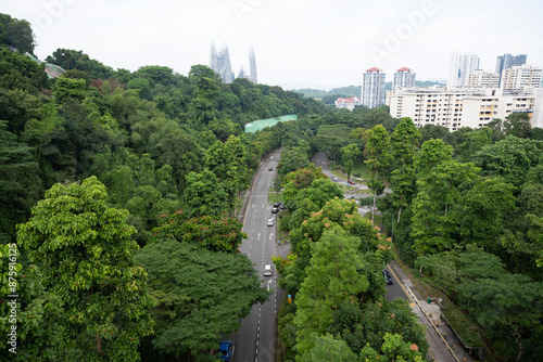 Photography Southern Ridges Singapore, urban road roadway motorway through green forest jung