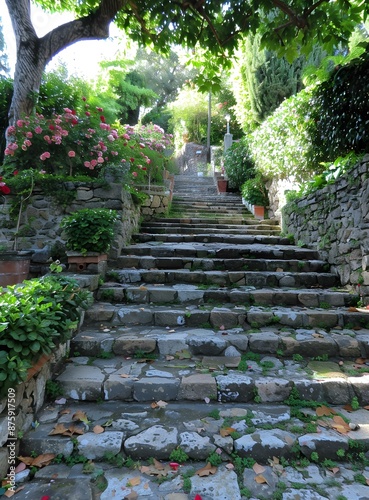 Stone Steps Leading Up Through Lush Greenery