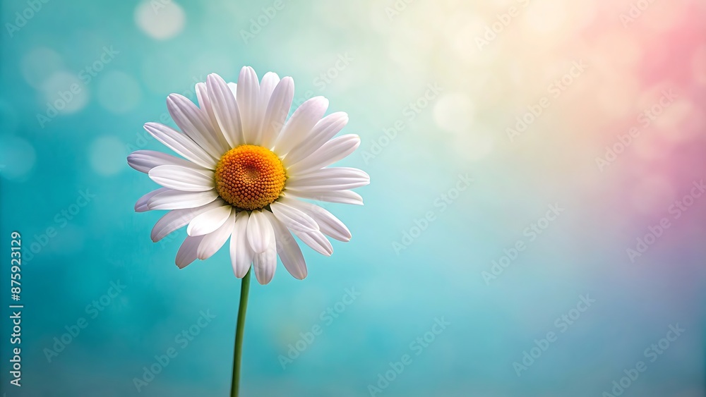 A single daisy on a pastel background with room for a message.
A single daisy on a pastel background with room for a message.