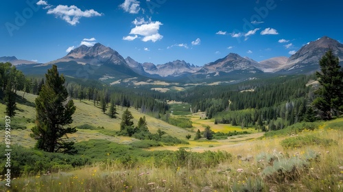 mountain valley landscape with pine trees and wildflowers