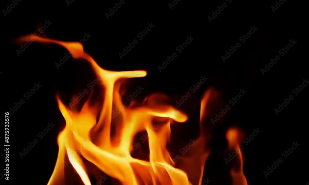 Vivid close-up shot capturing the mesmerizing flames of a fire burning brightly against a pitch-black backdrop, creating a striking and dramatic contrast.
Vivid close-up shot capturing the mesmerizing flames of a fire burning brightly against a pitch-black backdrop, creating a striking and dramatic contrast.