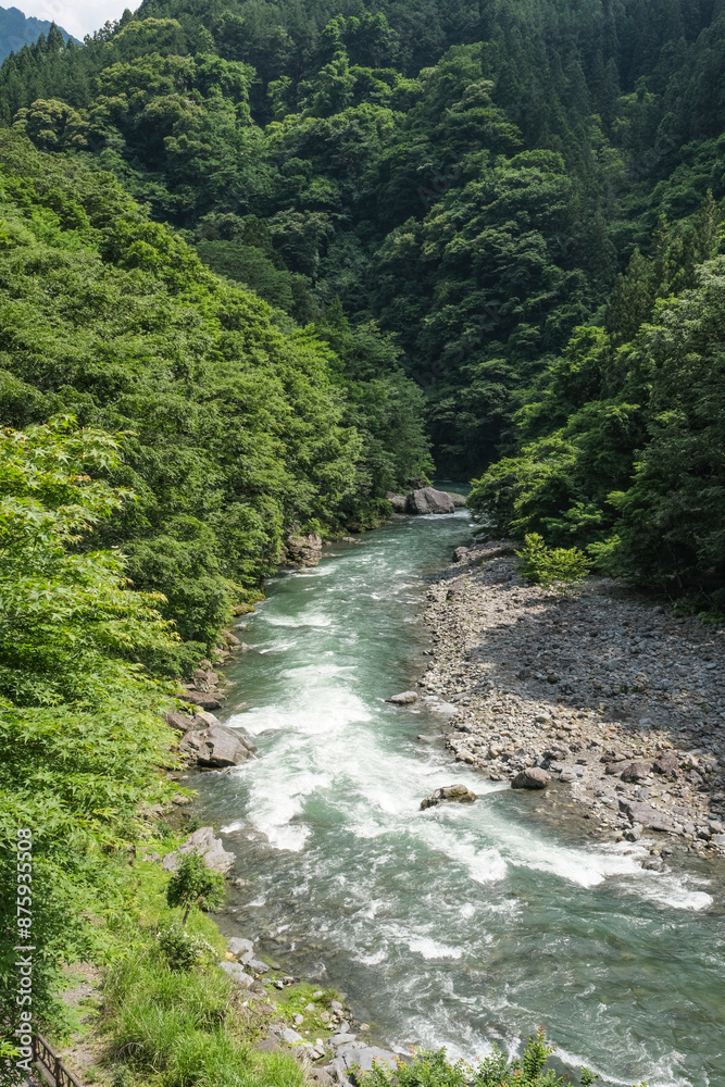 自然豊かな奥秩父を流れる荒川