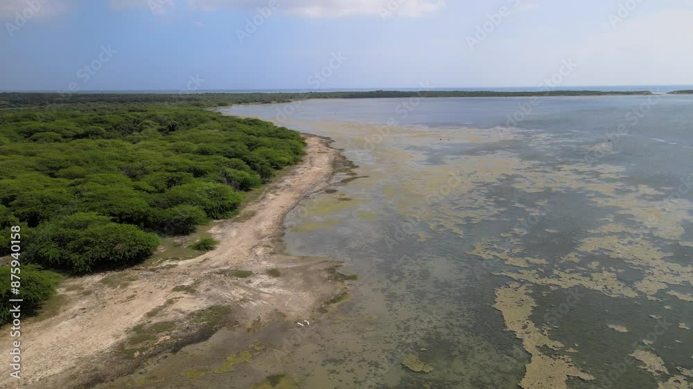 The aerial view of the South Coast of Sri Lanka