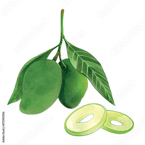 Green mango watercolor illustration.