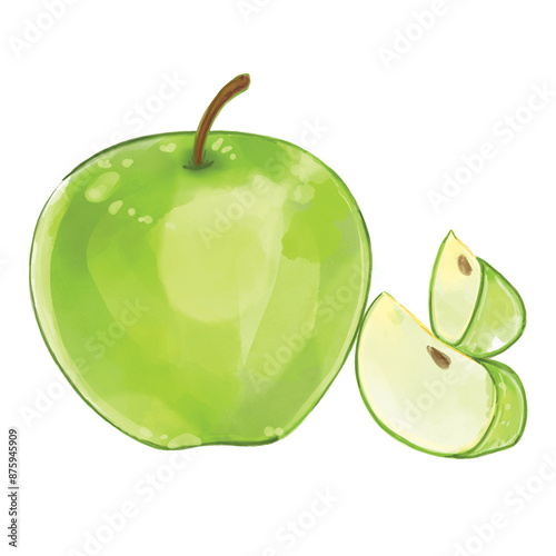 Hand drawn watercolor painting of fruit green apple.