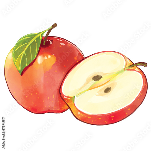 Hand drawn watercolor painting of fruit red apple.